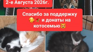 2-е Августа 2026г. Спасибо вам за поддержку и донаты. покупка корма и лекарств котикам