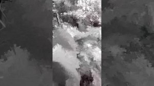 напоаопг