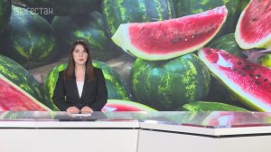 Порядка ста тысяч тонн арбузов уже собрали дагестанские аграрии