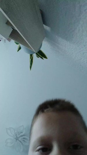 щенеееее