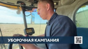 Аграрии Нижнекамского района убирают озимую пшеницу