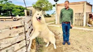 Абсолютно неожиданно мы познакомились с удивительными людьми в удивительном месте!