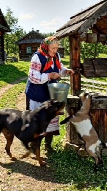 Защитник W