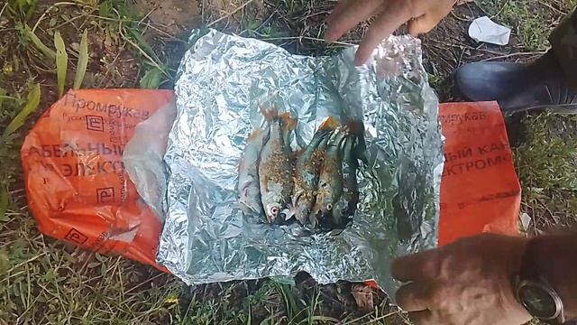 Небольшие окуня гнут спиннинг!? Рыбалка на донку!