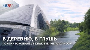 В деревню, в глушь почему горожане уезжают из мегаполисов