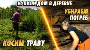 ТЁЩА В ШОКЕ! Что мы нашли в зарослях двухметровой травы и в старом погребе!
