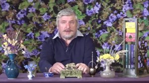 Живи как человек или добро пожаловать