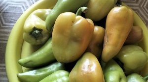 Мои покупки продуктовый магазин Первый выбор