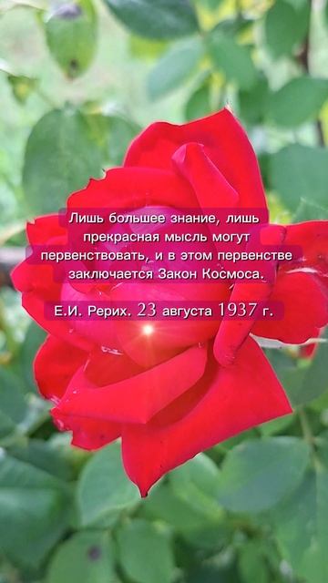 Закон Космоса
