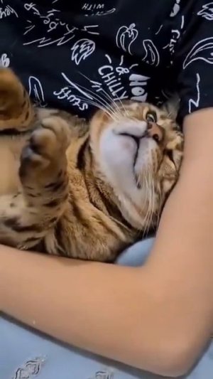 сильно меня