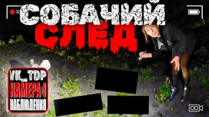 ⚡️ Собака ЖЕРТВЫ привела полицейских к РАСЧЛЕНЁННОМУ телу владельца