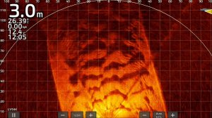Livescope2 lvs 44 перспектива 120м, на малых реках)