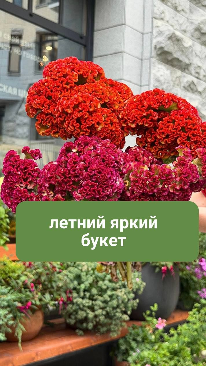 Летний яркий букет