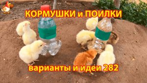 Кормушки и поилки для кур своими руками (282) 🪚✂️ Пошаговая инструкция как сделать 🐔 🐓❣️