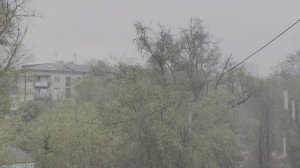 Погода Дождь Сьёмка флагман Xiaomi 14T bt2020 4K 30fps HDR10PLUS