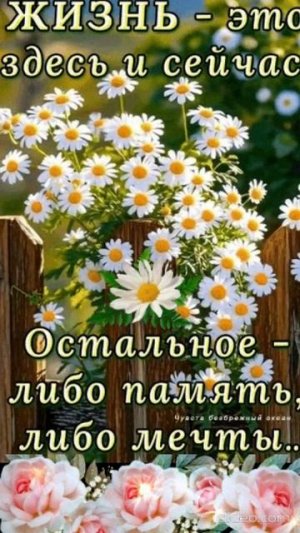 Хорошего Вам дня! Shorts.