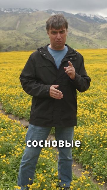 Всего за месяц ученые собрали сведения, которые служили основой для изучения Северного Кавказа