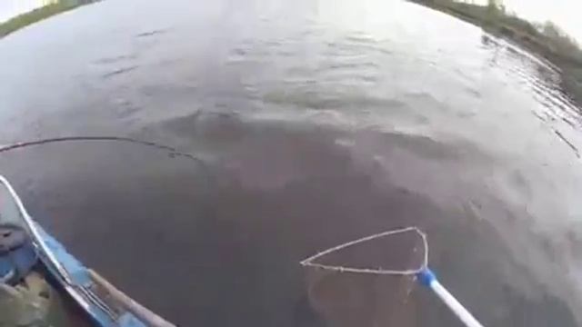 охота и рыбалка