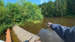 Экспресс -обзор FishingFans Rancy 3.0!  Спиннинг и кастинг в одном удилище!