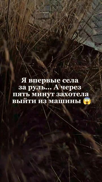 Я впервые села за руль... А через пять минут захотела выйти из машины 😱