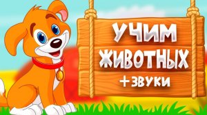 Учим животных - Развивающие мультики для малышей - Мультфильмы для развития речи