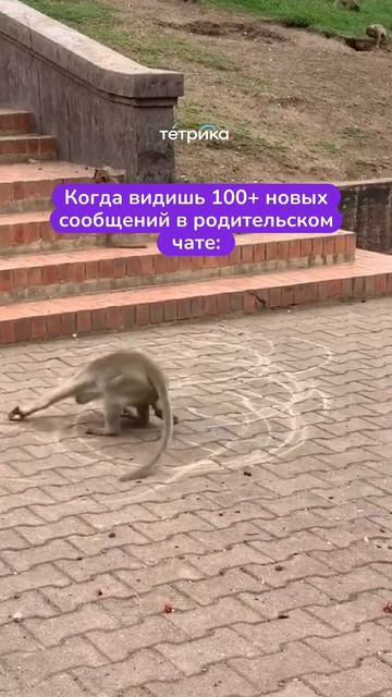 100+ сообщений в родительском чате...