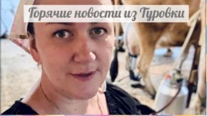 Завралась вконец