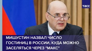 Мишустин назвал число гостиниц в России, куда можно заселяться через «Макс»