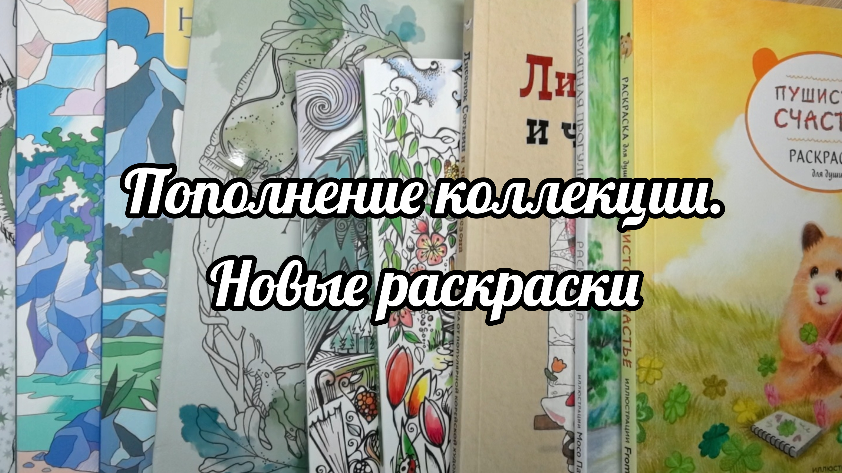 Пополнение коллекции. Новые раскраски | август 2026