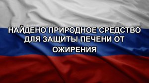 Найдено природное средство для защиты печени от ожирения