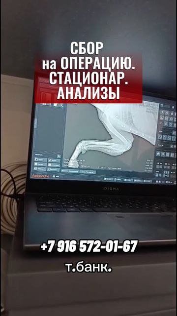 33 Несчастья у Ромы, если у него шанс ?