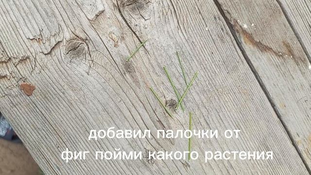 рубрика эксперементы
