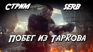Будни Таркова Стрим 04.08.2026 год