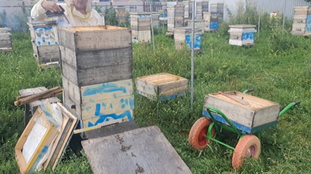 Убираю запечатанные магазинные рамки, не запечатанные оставляю на досушку