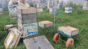 Убираю запечатанные магазинные рамки, не запечатанные оставляю на досушку