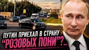Дмитрий Борисенко. Путин приехал в страну розовых пони