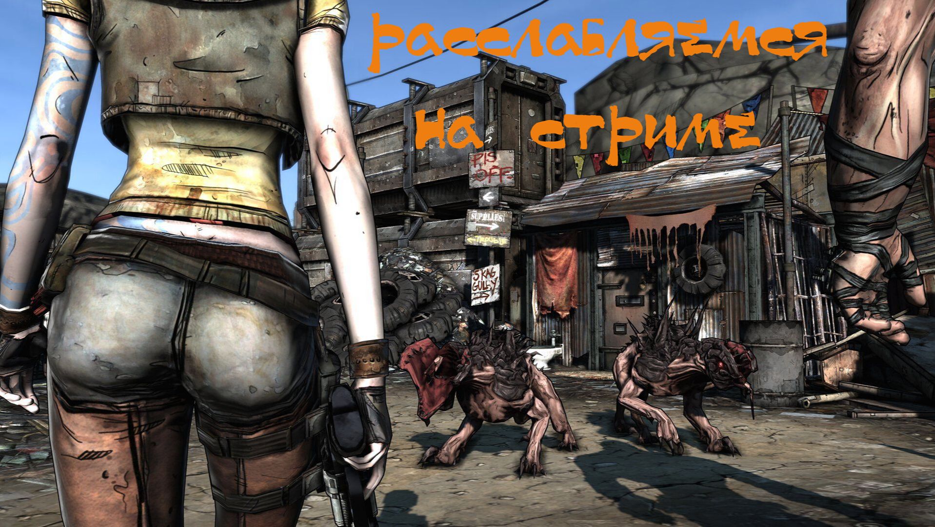Borderlands Прохождение размеренное 27