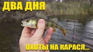 Два дня разведки на КАРАСЯ. М-да... карась уже не тот)