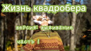 жизнь квадробера 1 часть