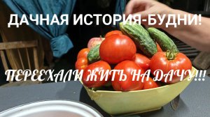 ДАЧНАЯ ИСТОРИЯ! БУДНИ! ЖИВЕМ В САДУ!🏡