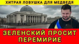 ЗЕЛЯ ПРОСИТ МИРА ! ЛОВУШКА ДЛЯ МЕДВЕДЯ !