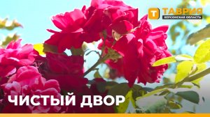 Волонтеры акции «Мы вместе» провели субботник на Арабатской стрелке
