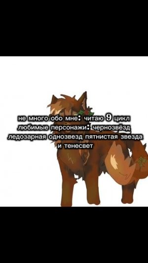 Привет）я новая квшница