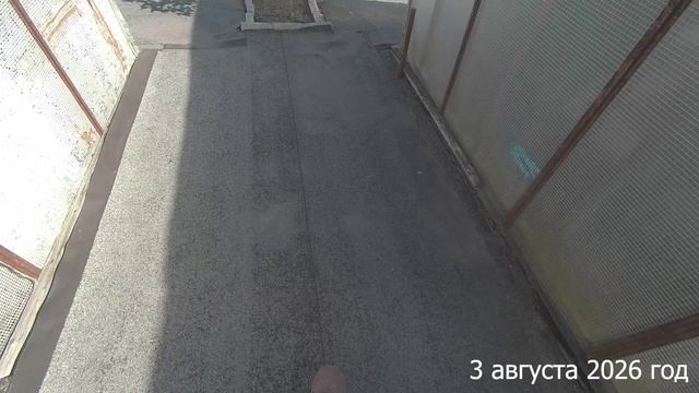 7 соток. Начала наводить порядок на даче. Хроника 3 августа 2026 год