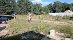 351. Отпуск закончился. Закупаем материалы.