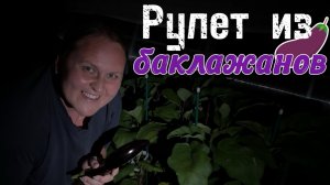 Необычный рецепт рулета из баклажанов. Первый раз готовим с вами вместе