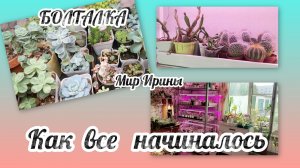 КАК ВСЁ НАЧИНАЛОСЬ ● СУККУЛЕНТЫ ●БОЛТАЛКА ●●●●