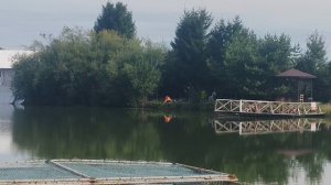 поимка карпа