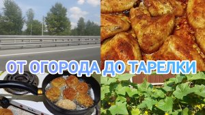 Три удовольствия: огородное, кухонное и дорожное