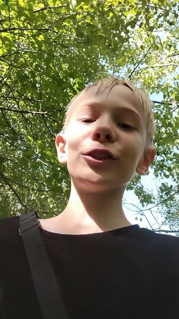 влог